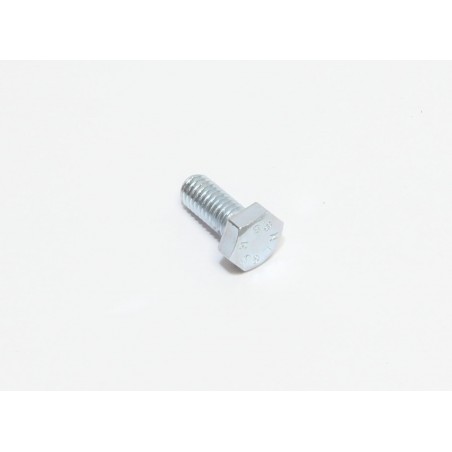 VITE M6X14 TE UNI 5739 (8.8) ZINC.